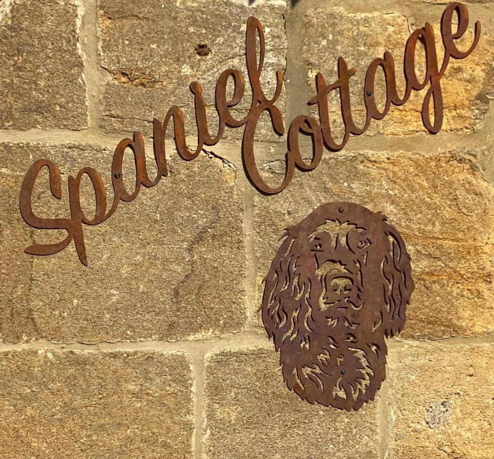 Spaniel Cottage With Views Of Ham Hill, Stoke Sub Hamdon マートック エクステリア 写真