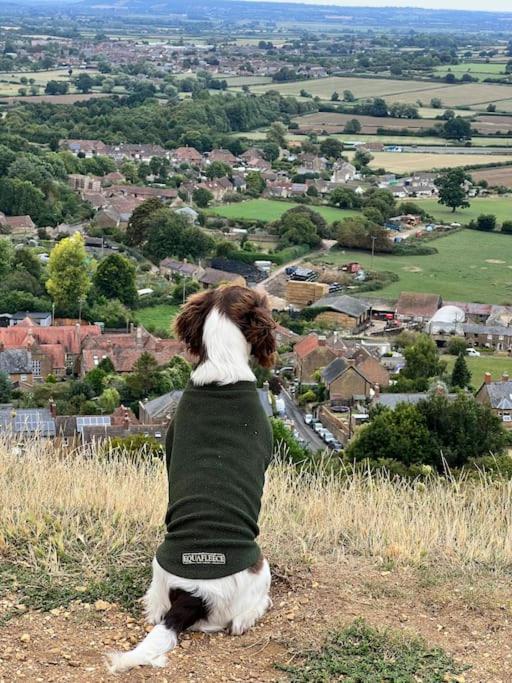 Spaniel Cottage With Views Of Ham Hill, Stoke Sub Hamdon マートック エクステリア 写真