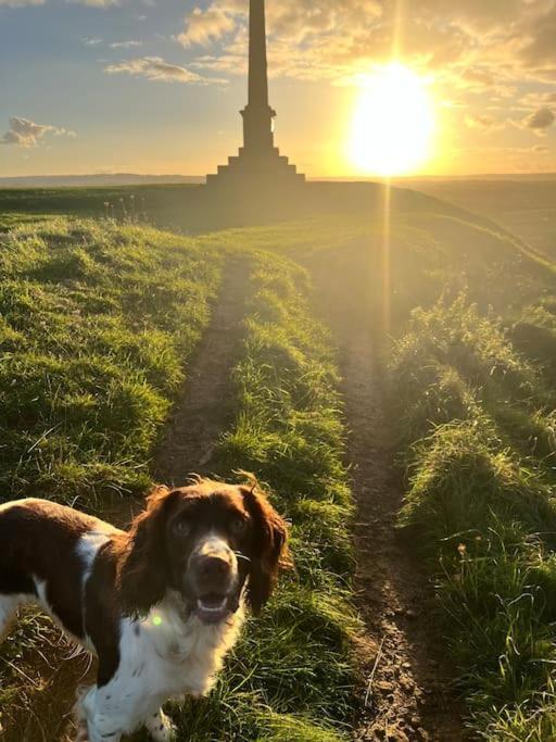 Spaniel Cottage With Views Of Ham Hill, Stoke Sub Hamdon マートック エクステリア 写真