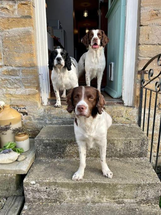 Spaniel Cottage With Views Of Ham Hill, Stoke Sub Hamdon マートック エクステリア 写真