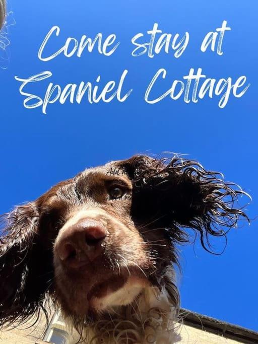 Spaniel Cottage With Views Of Ham Hill, Stoke Sub Hamdon マートック エクステリア 写真